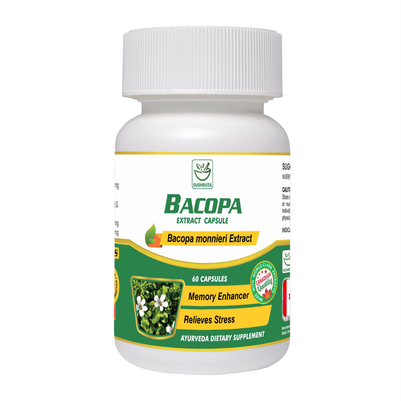 Bacopa Extract Capsule - Sushruta Clinic