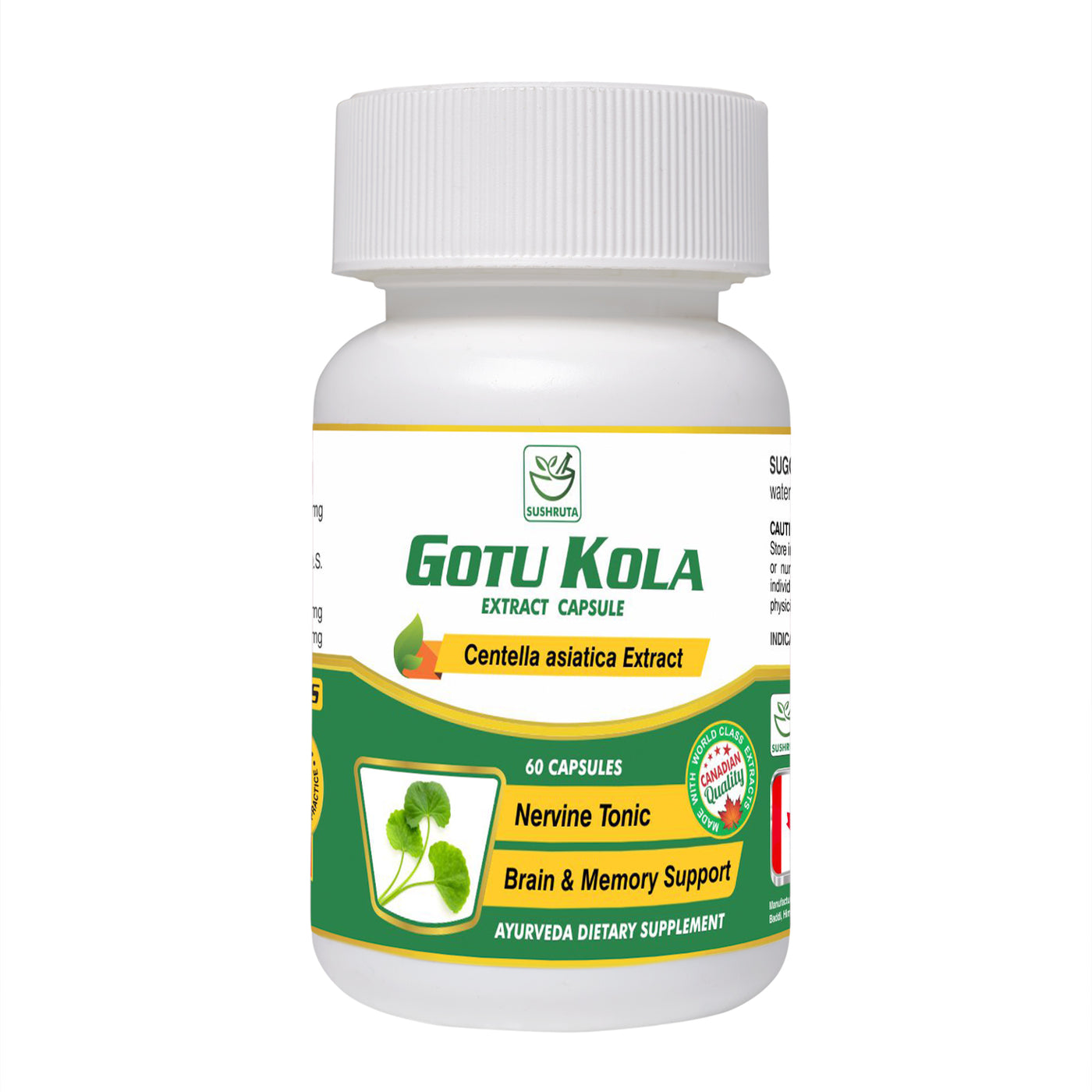 Gotu Kola  Extract Capsule - Sushruta Clinic