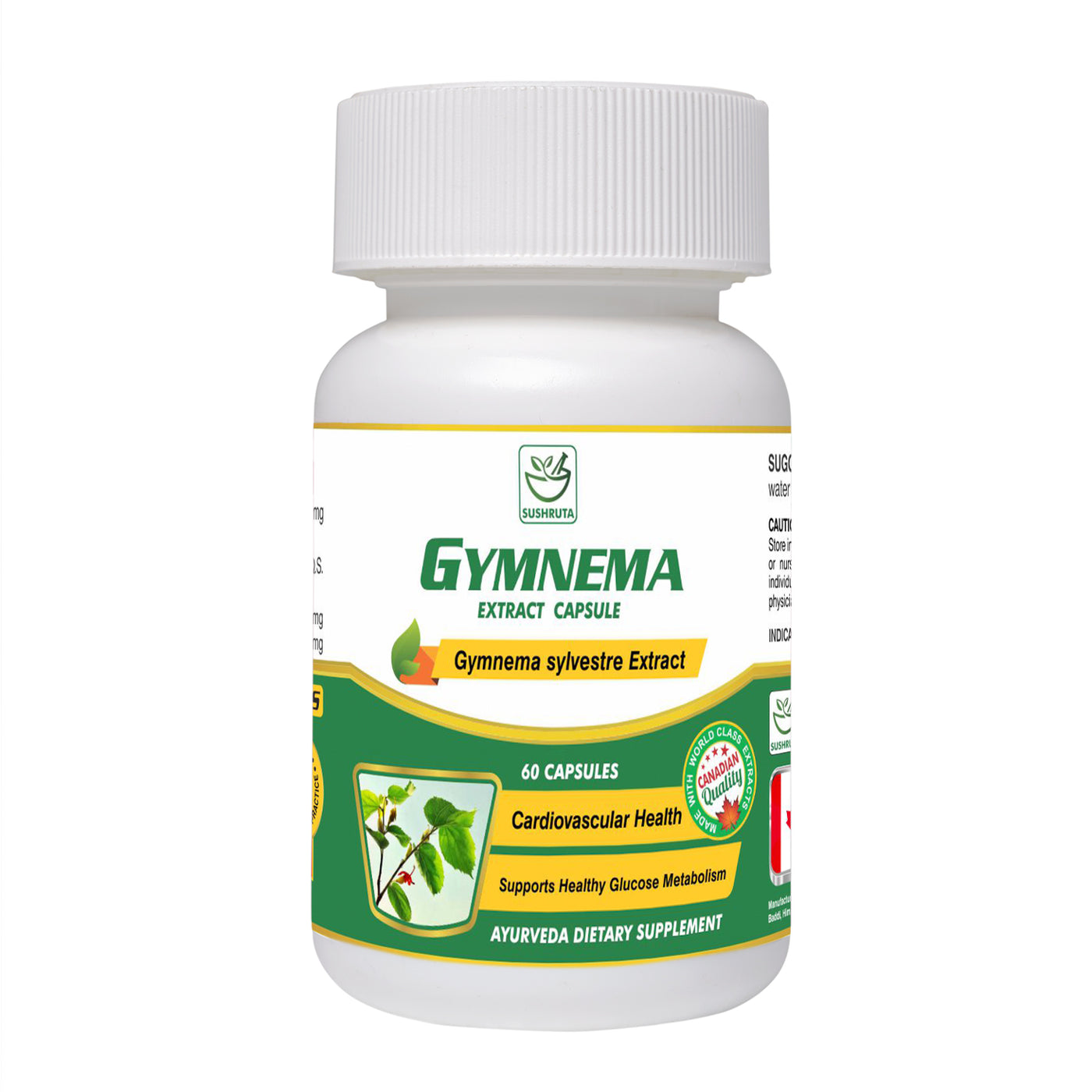 Gymnema Extract  Capsule - Sushruta Clinic