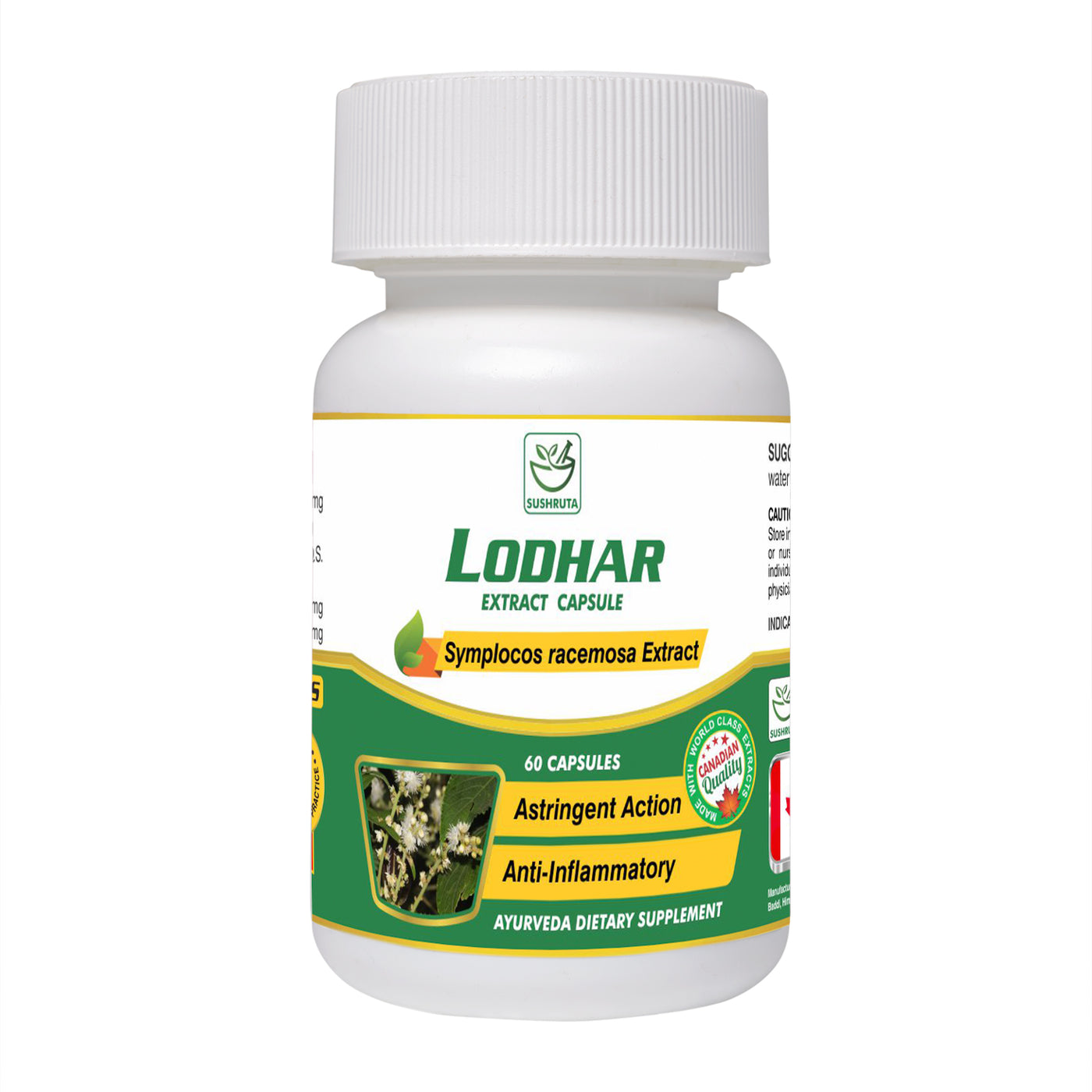 Lodhar Extract Capsule - Sushruta Clinic